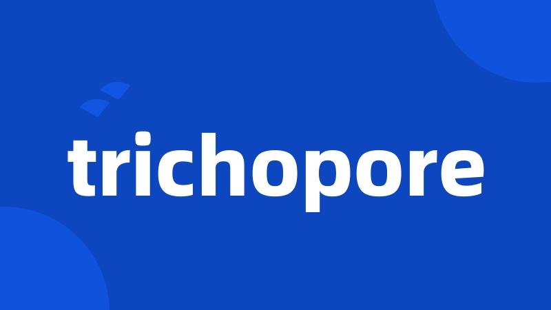 trichopore