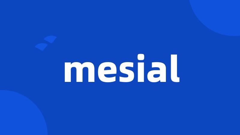 mesial