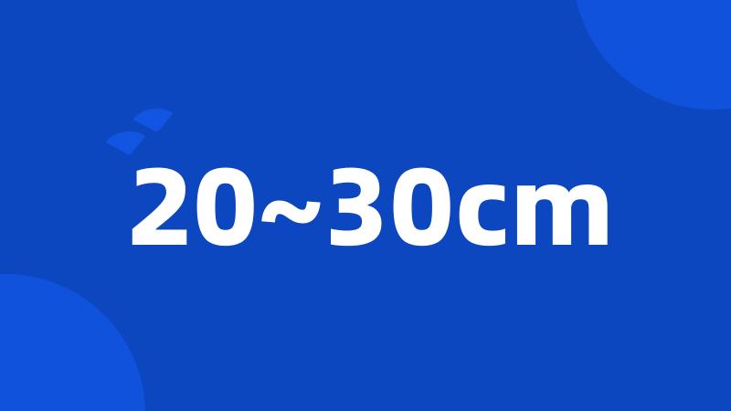 20~30cm