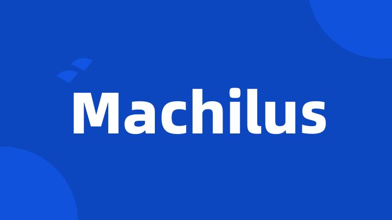 Machilus