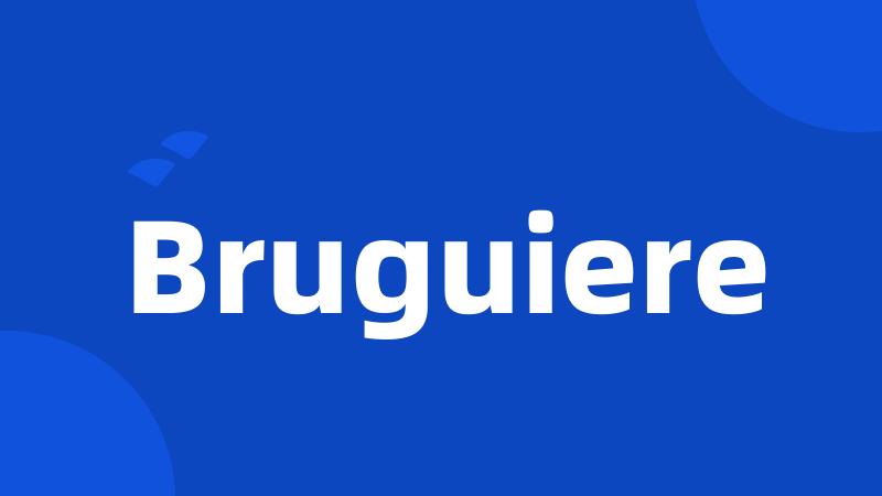 Bruguiere