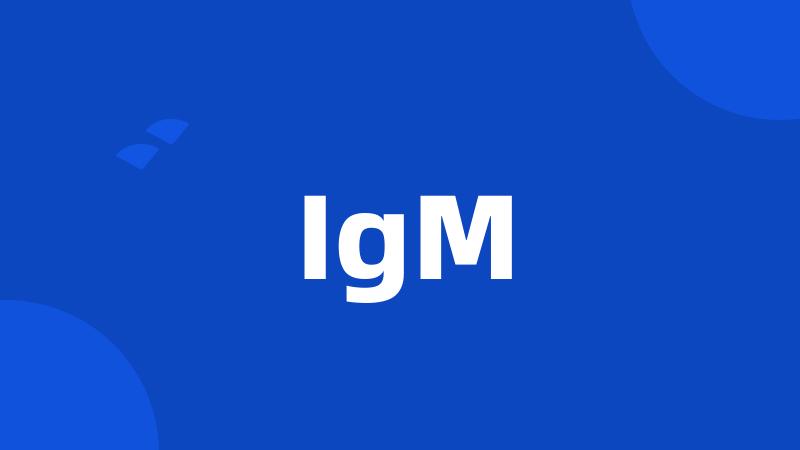 IgM