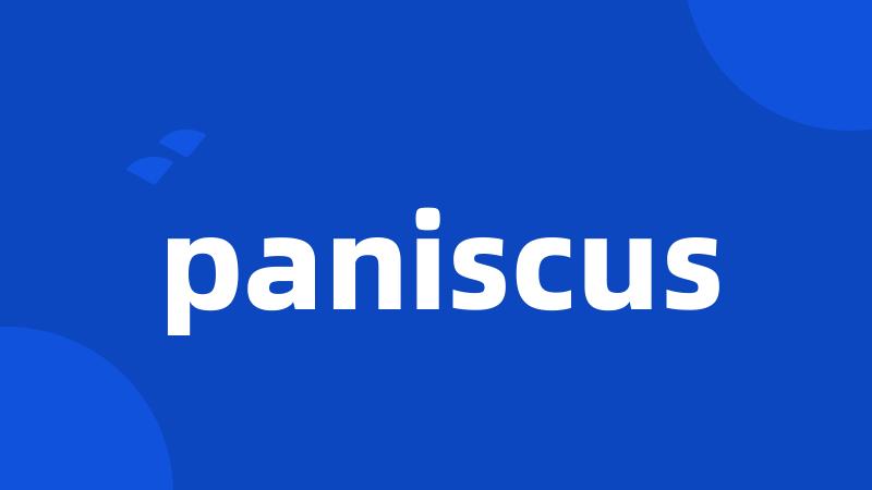 paniscus