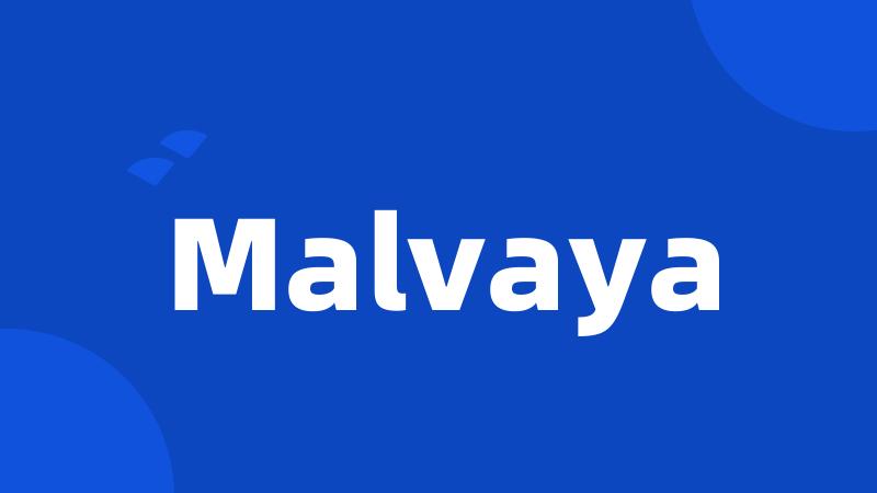 Malvaya