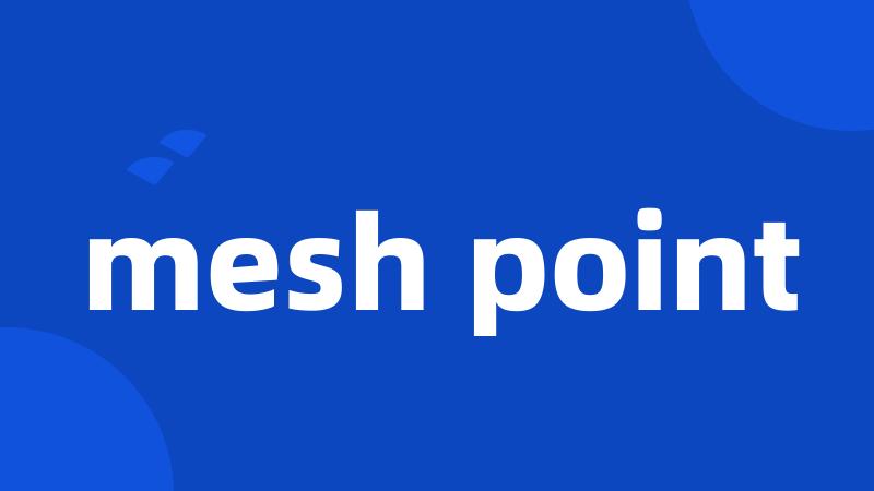 mesh point