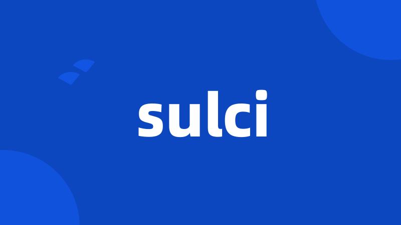 sulci