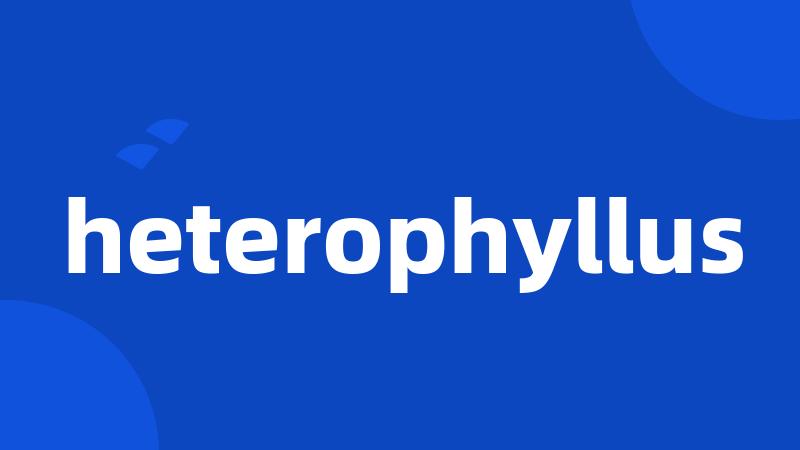 heterophyllus