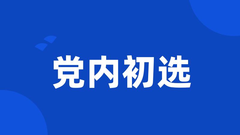 党内初选