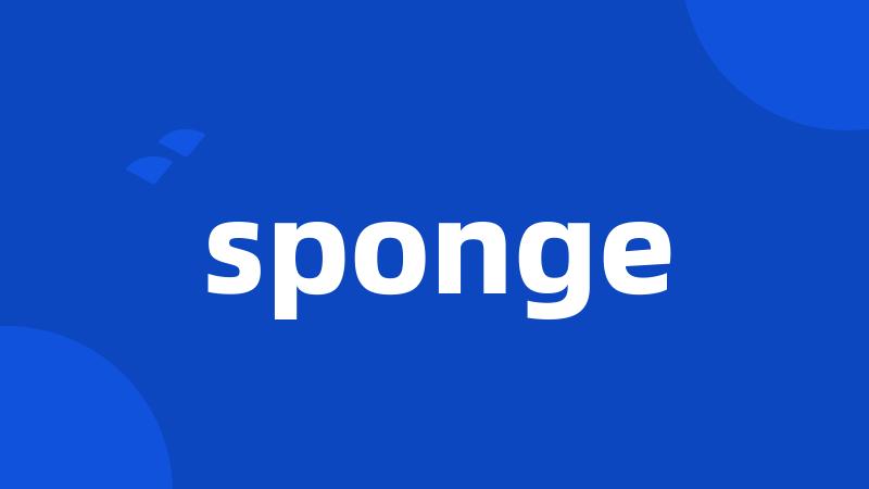 sponge