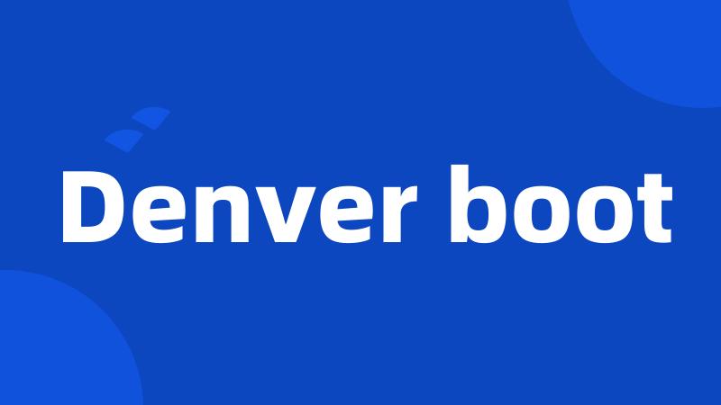 Denver boot