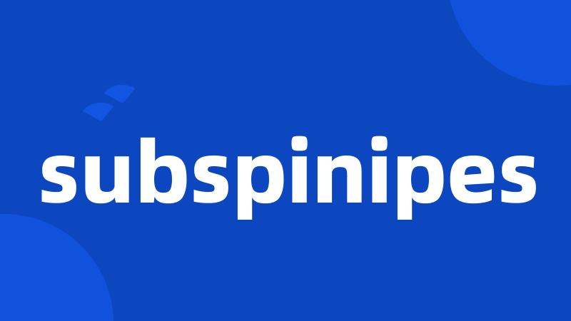 subspinipes