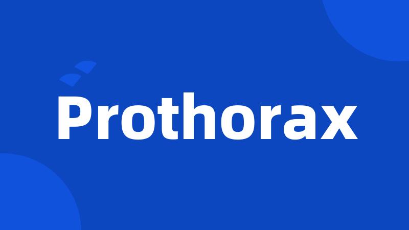 Prothorax