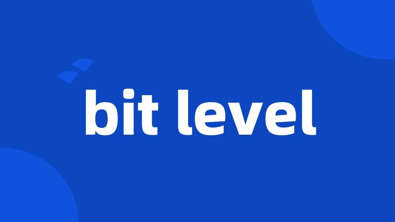 bit level