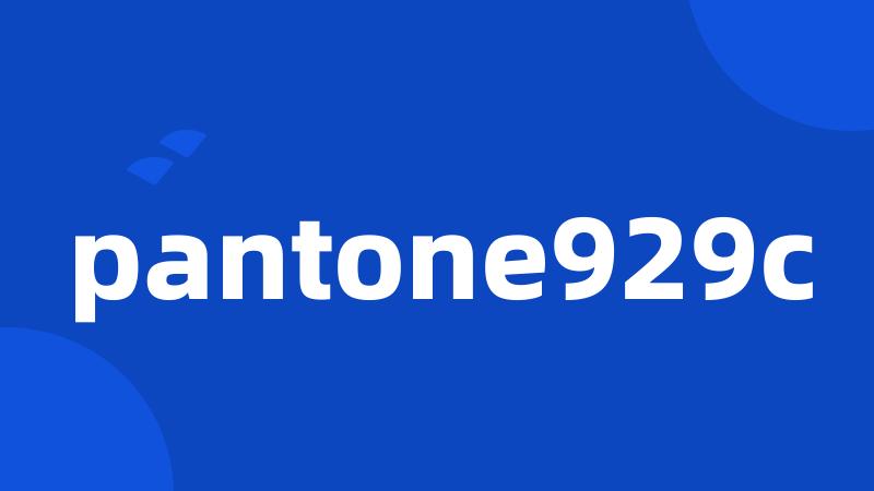 pantone929c