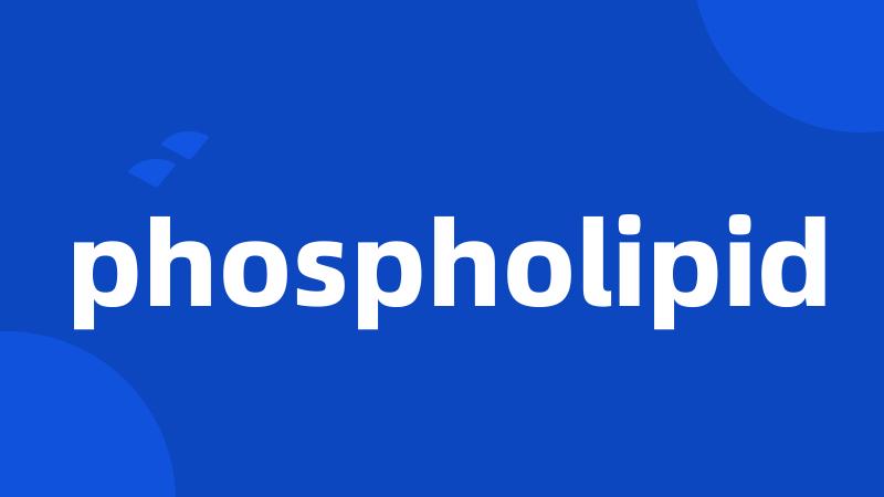 phospholipid