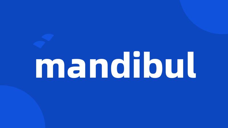 mandibul