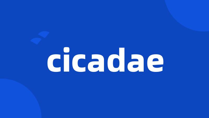 cicadae