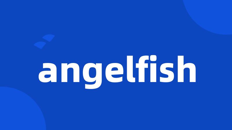 angelfish