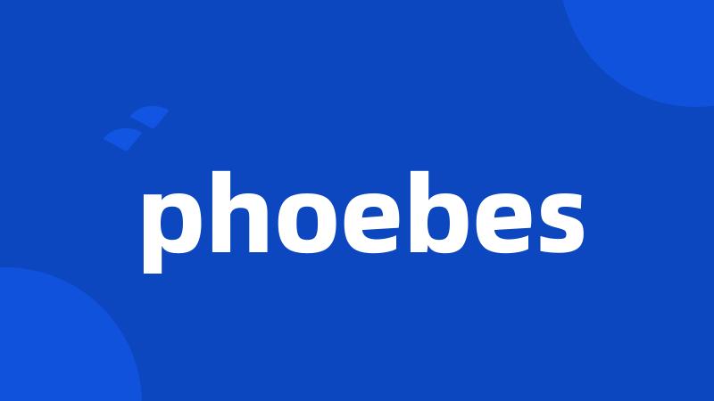 phoebes