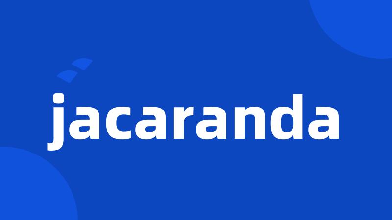 jacaranda