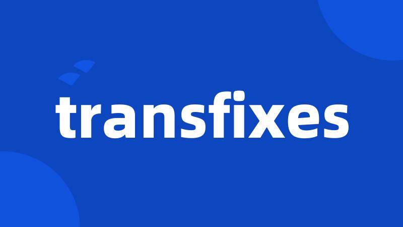 transfixes