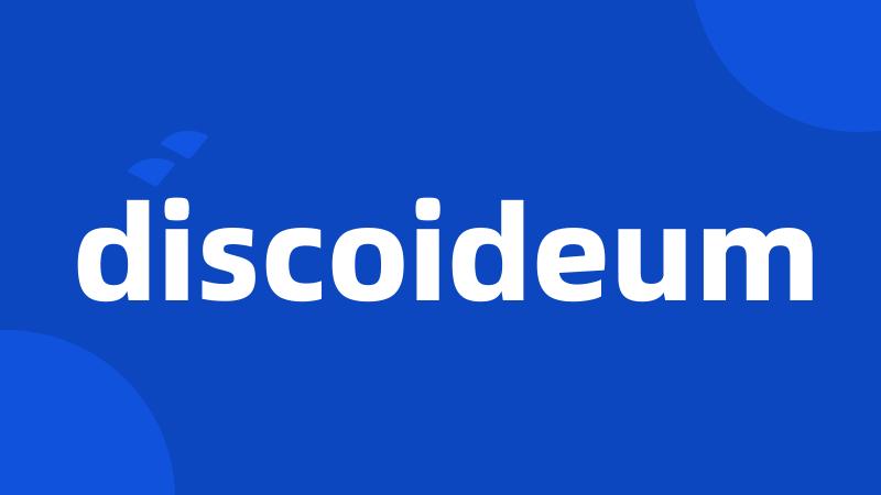 discoideum