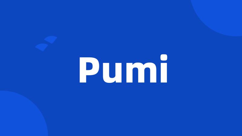 Pumi