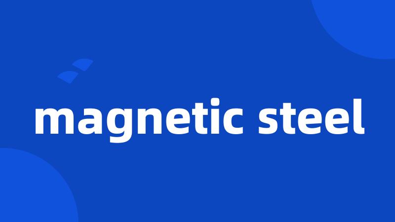 magnetic steel