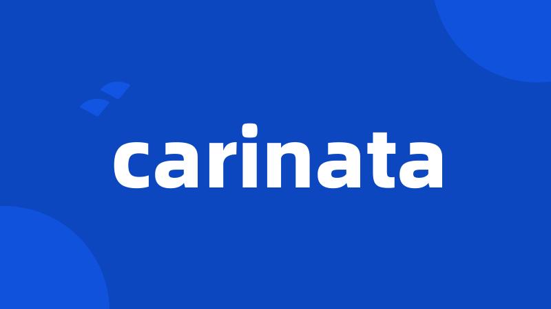 carinata