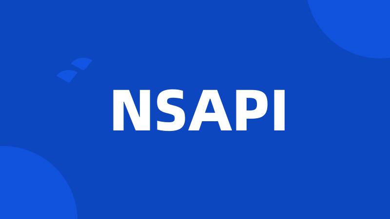 NSAPI