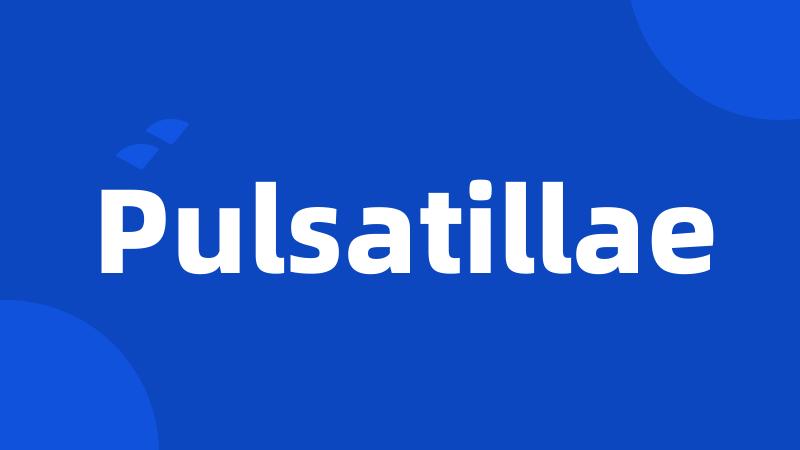 Pulsatillae