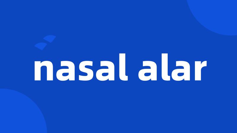 nasal alar
