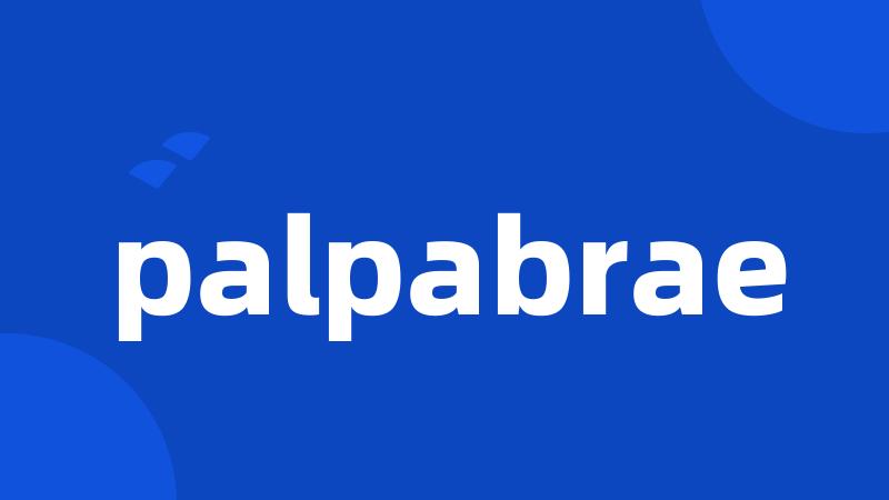 palpabrae