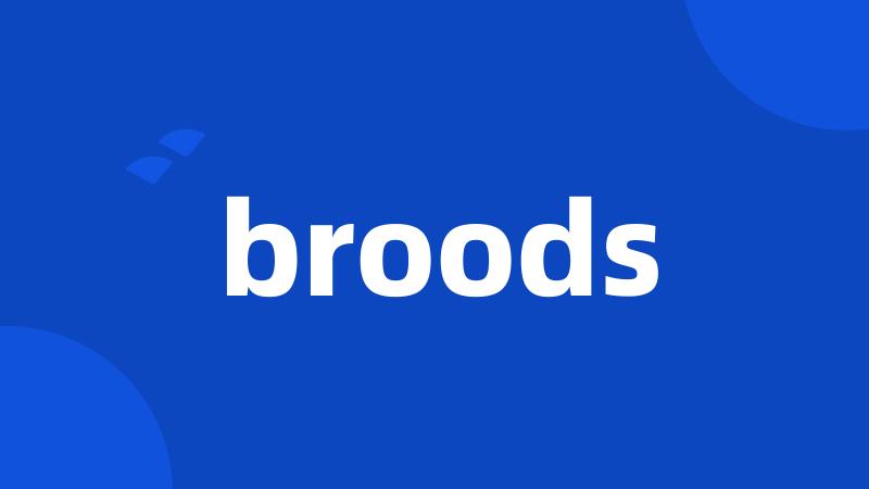 broods