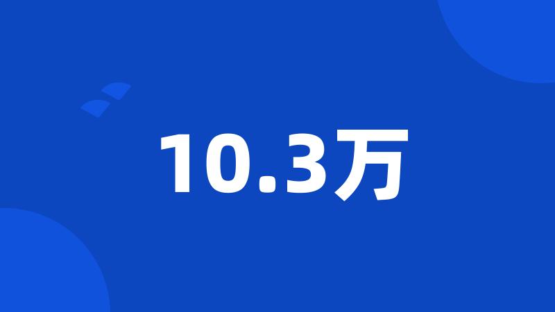 10.3万