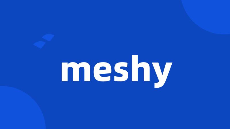 meshy