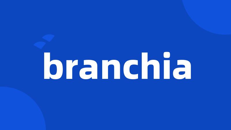 branchia