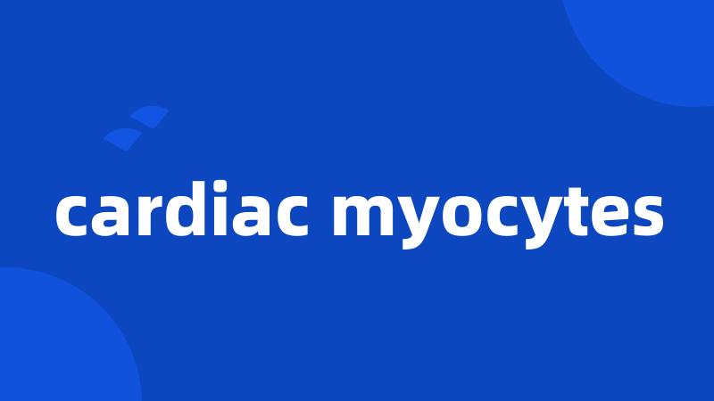 cardiac myocytes