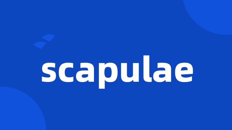 scapulae