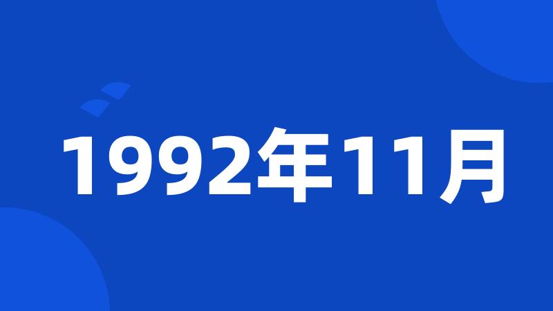 1992年11月