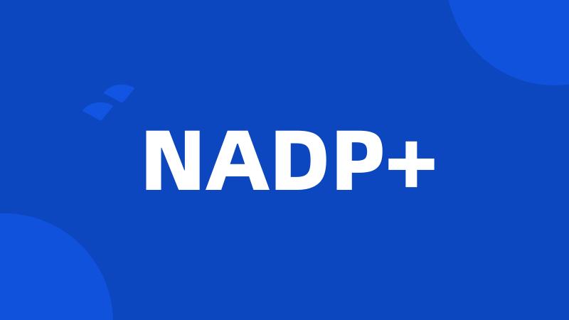 NADP+