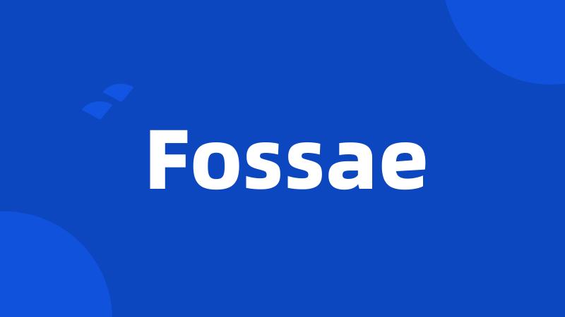 Fossae