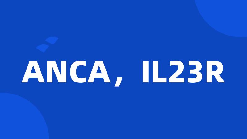 ANCA，IL23R