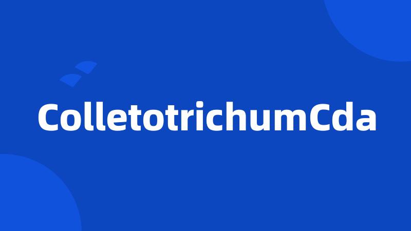 ColletotrichumCda