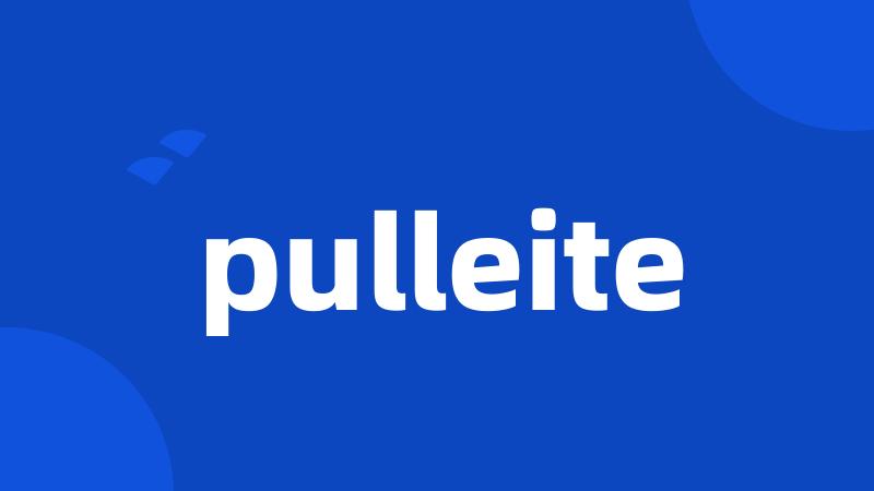 pulleite