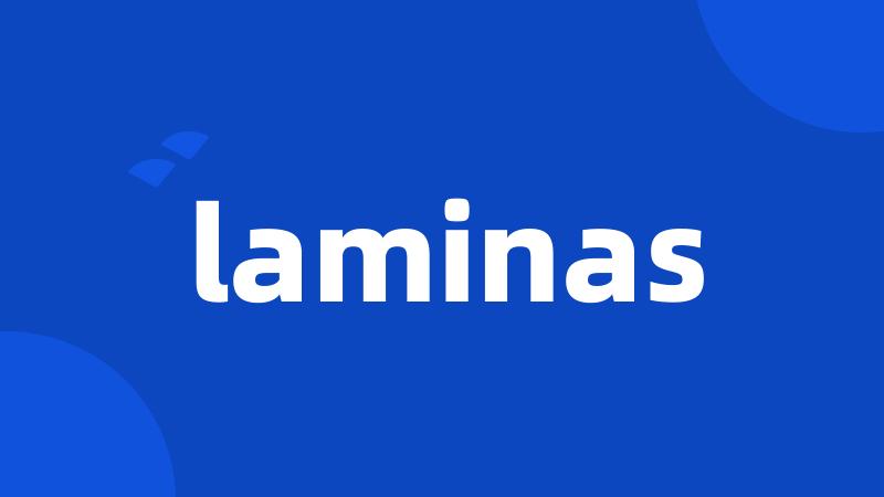 laminas