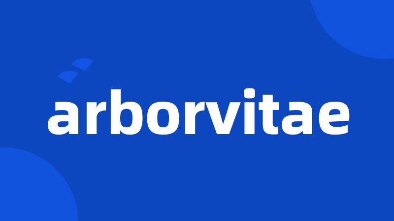 arborvitae