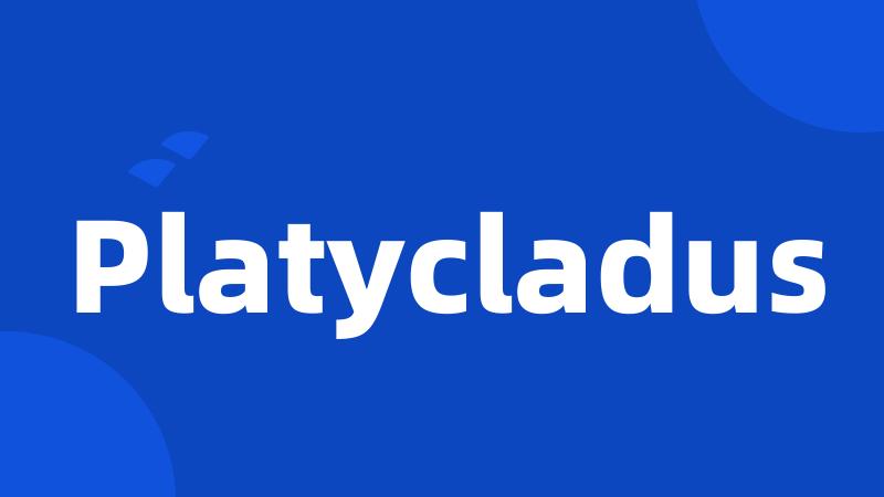 Platycladus