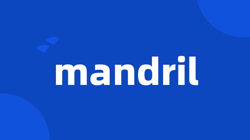 mandril