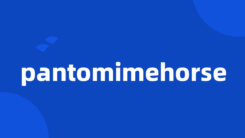 pantomimehorse